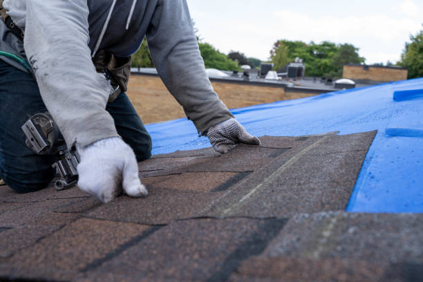 Best Metal Roofing Contractor  in Owasso, OK